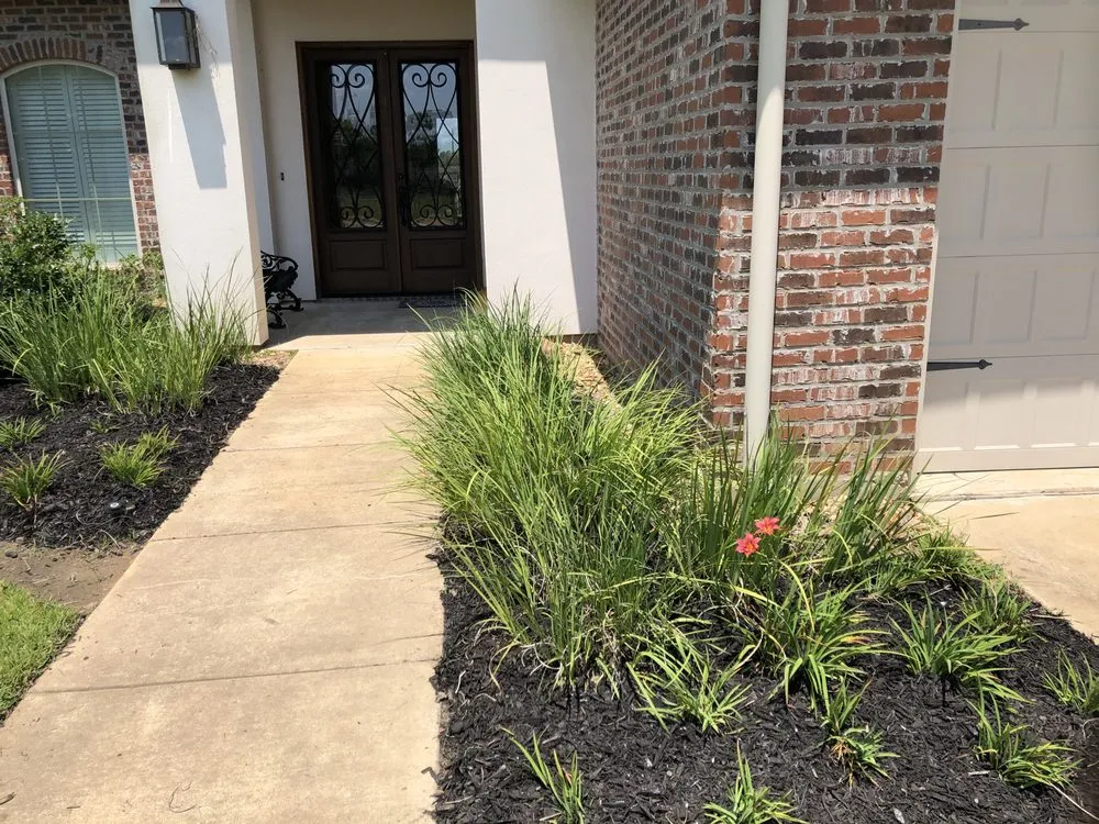 Local outdoor landscaping for year-round maintenance across Pineville, LA - DFG Landscaping