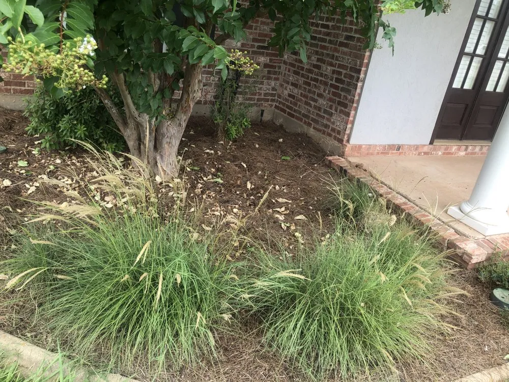 Reliable yard maintenance in Pineville, LA by DFG Landscaping