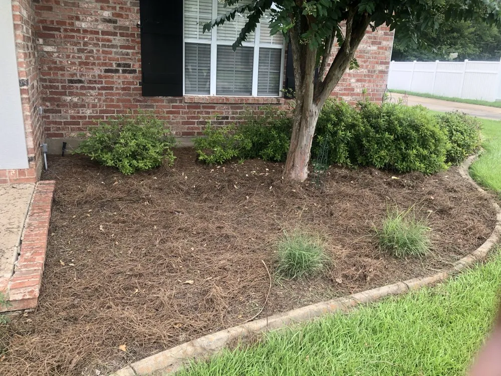 Affordable lawn mowing service in Pineville, LA - DFG Landscaping