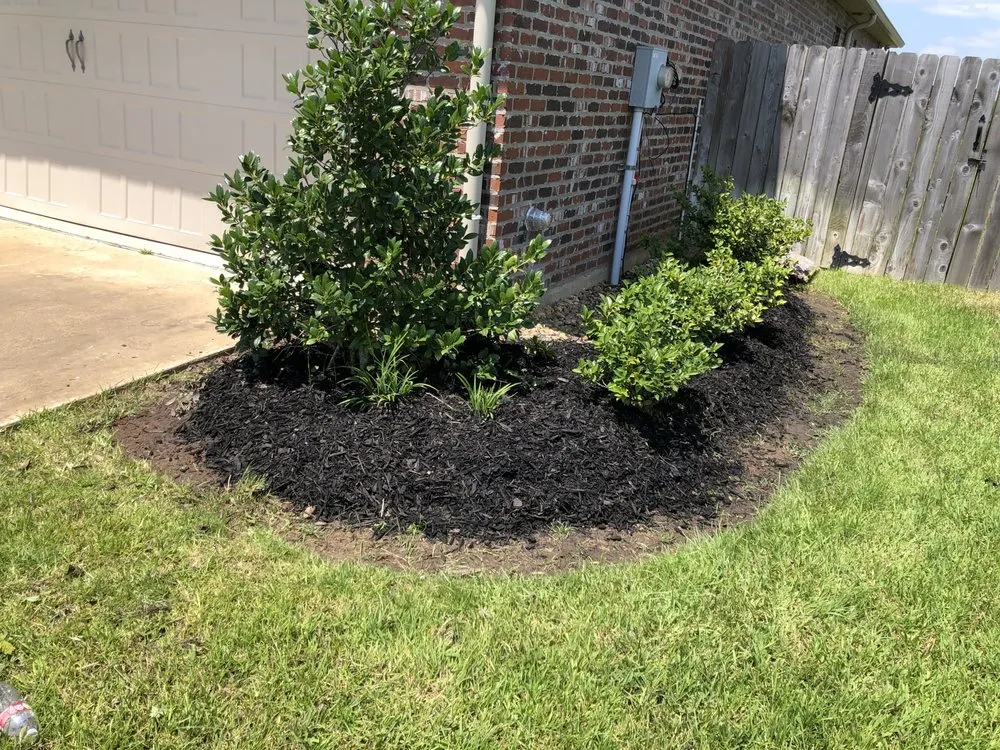 Affordable yard maintenance experts serving Pineville, LA - DFG Landscaping