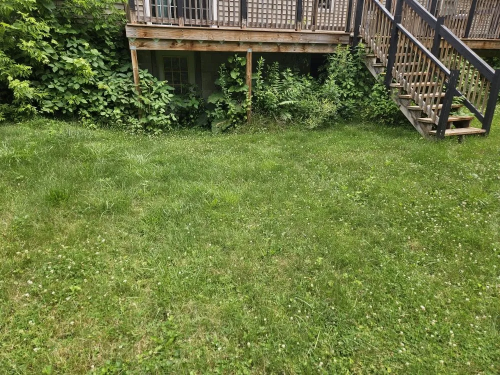 Professional landscape installation experts serving Schenectady, NY - DFJ Landscaping