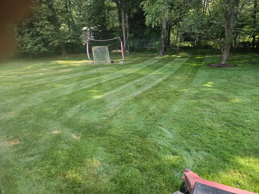 Professional lawn care service with custom design in Schenectady, NY by DFJ Landscaping
