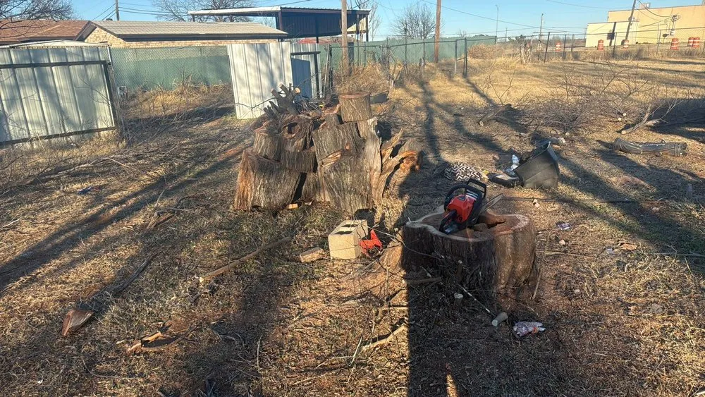 Expert landscape installation in Wichita Falls, TX - Dfn Lawn & House Remodeling