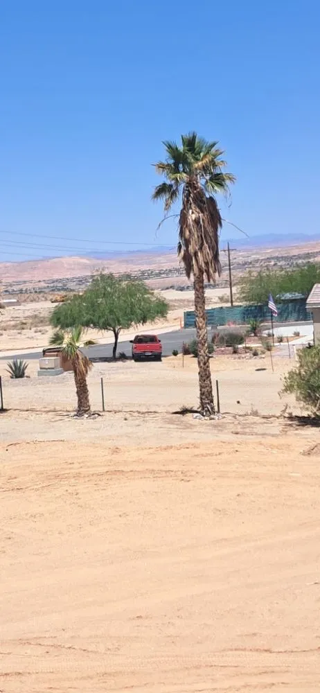 Custom landscape installation for residential properties across Littlefield, AZ - DFR Land Skeeping