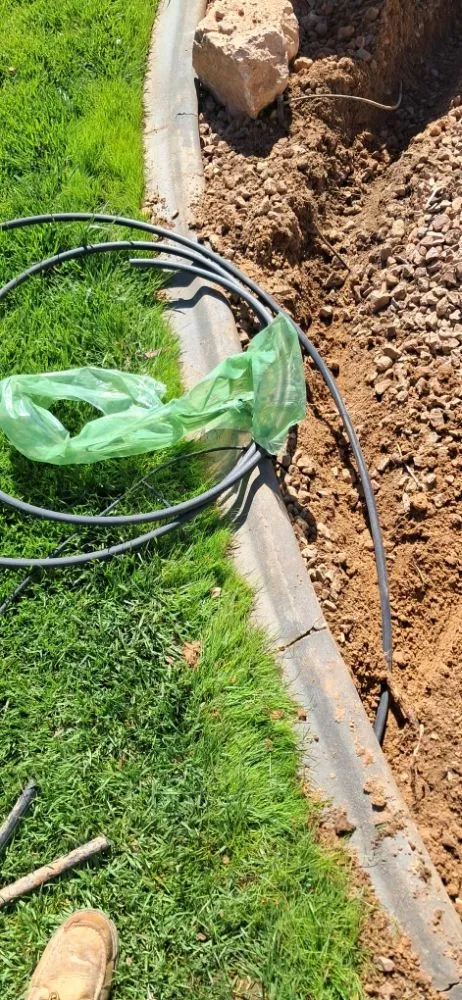 Expert yard cleanup service in Littlefield, AZ - DFR Land Skeeping