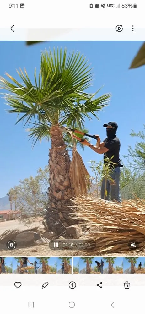 Reliable lawn mowing service in Littlefield, AZ - DFR Land Skeeping