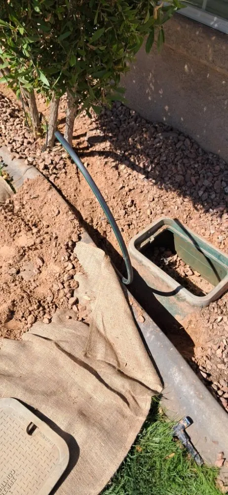 Reliable yard cleanup service for beautiful yards across Littlefield, AZ - DFR Land Skeeping