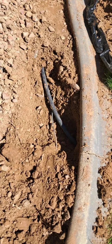 Affordable landscape installation in Littlefield, AZ - DFR Land Skeeping
