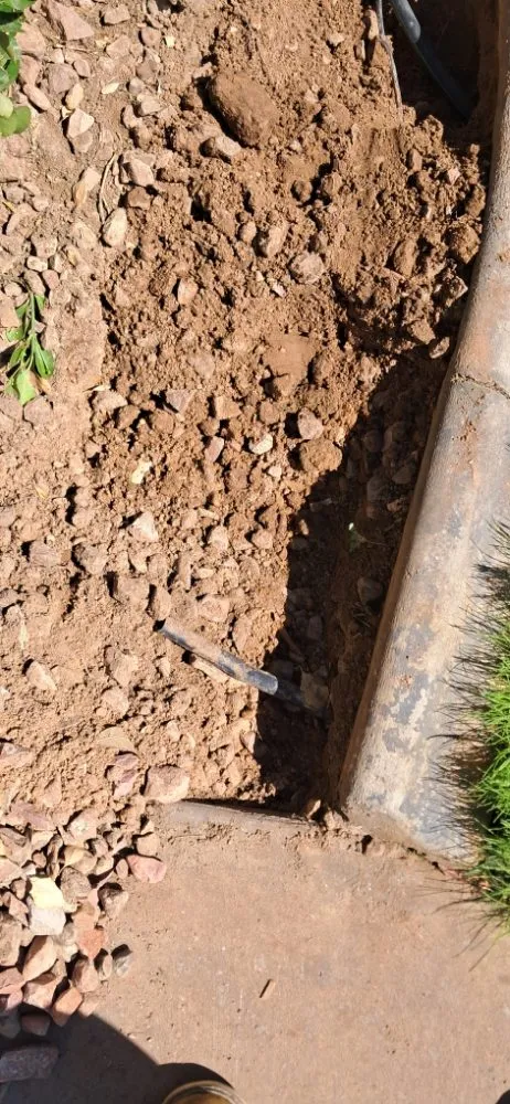 Reliable yard cleanup service for beautiful yards in Littlefield, AZ by DFR Land Skeeping
