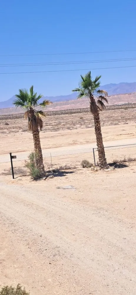 Affordable landscaping services experts serving Littlefield, AZ - DFR Land Skeeping