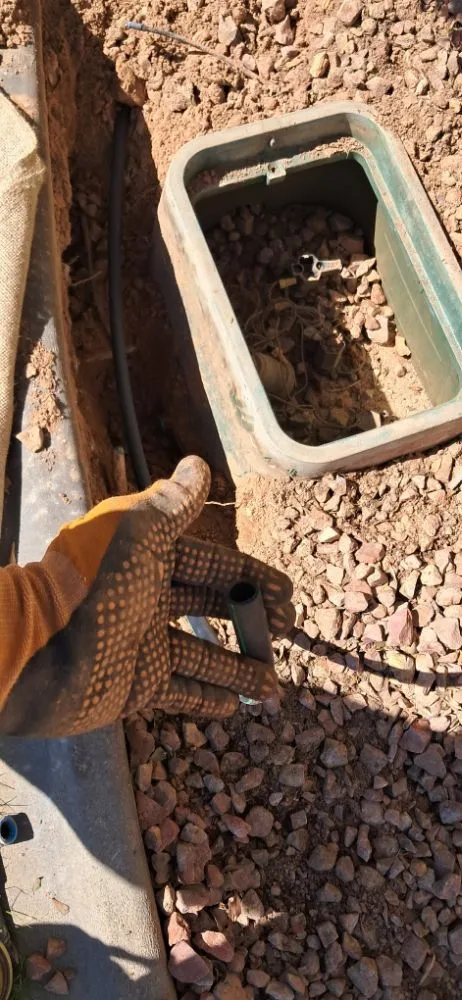 Top-rated yard cleanup service for residential properties in Littlefield, AZ by DFR Land Skeeping