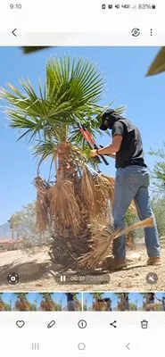 DFR Land Skeeping