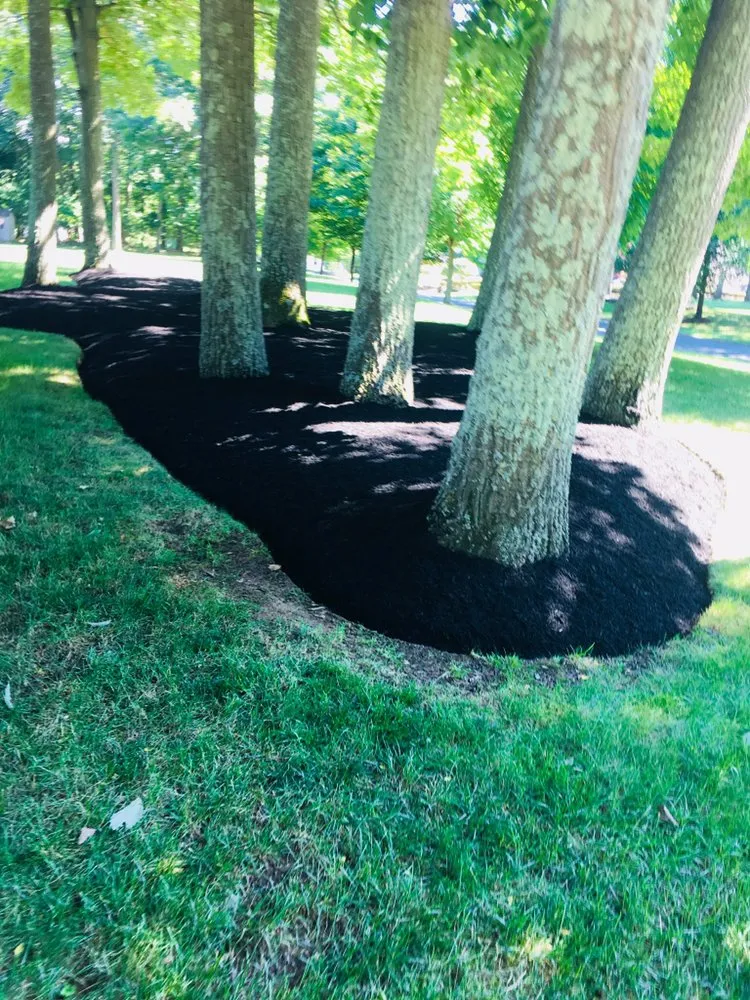 Local landscape design experts serving Hightstown, NJ - DFV Landscaping