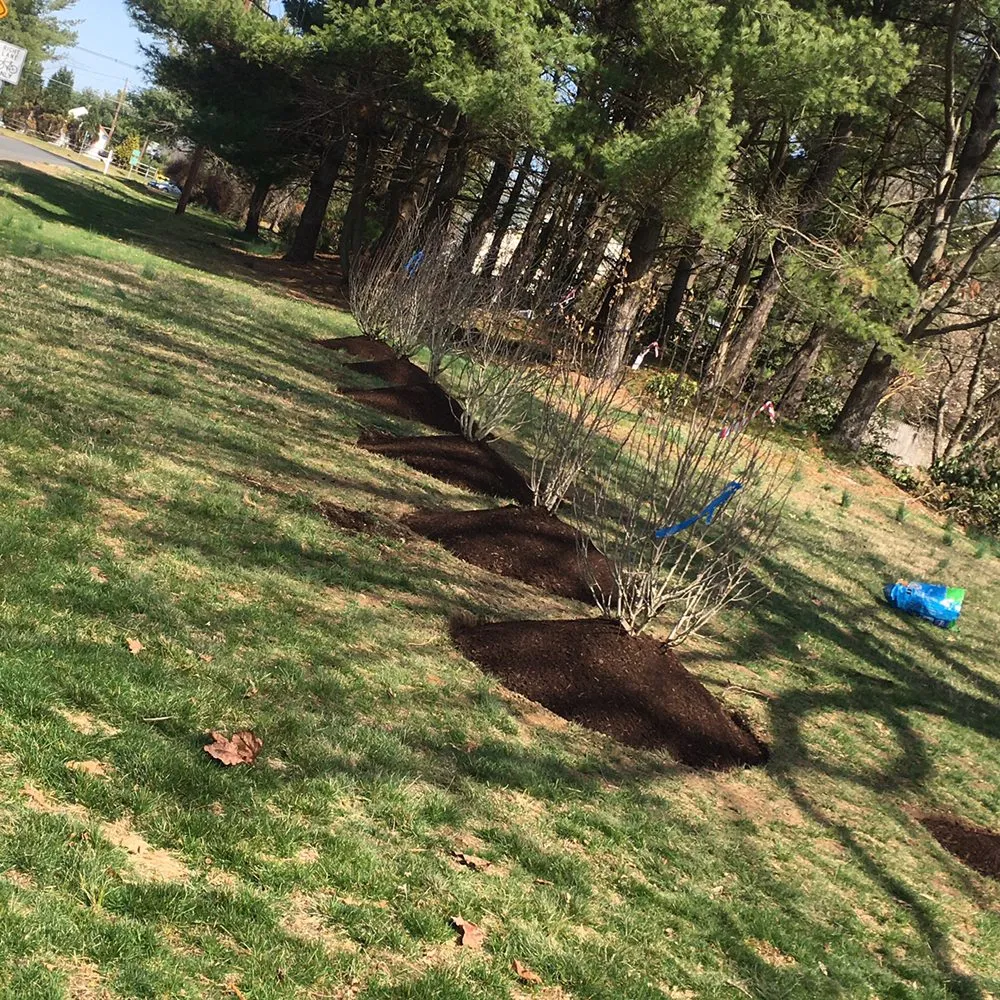 Expert residential landscaping in Hightstown, NJ by DFV Landscaping