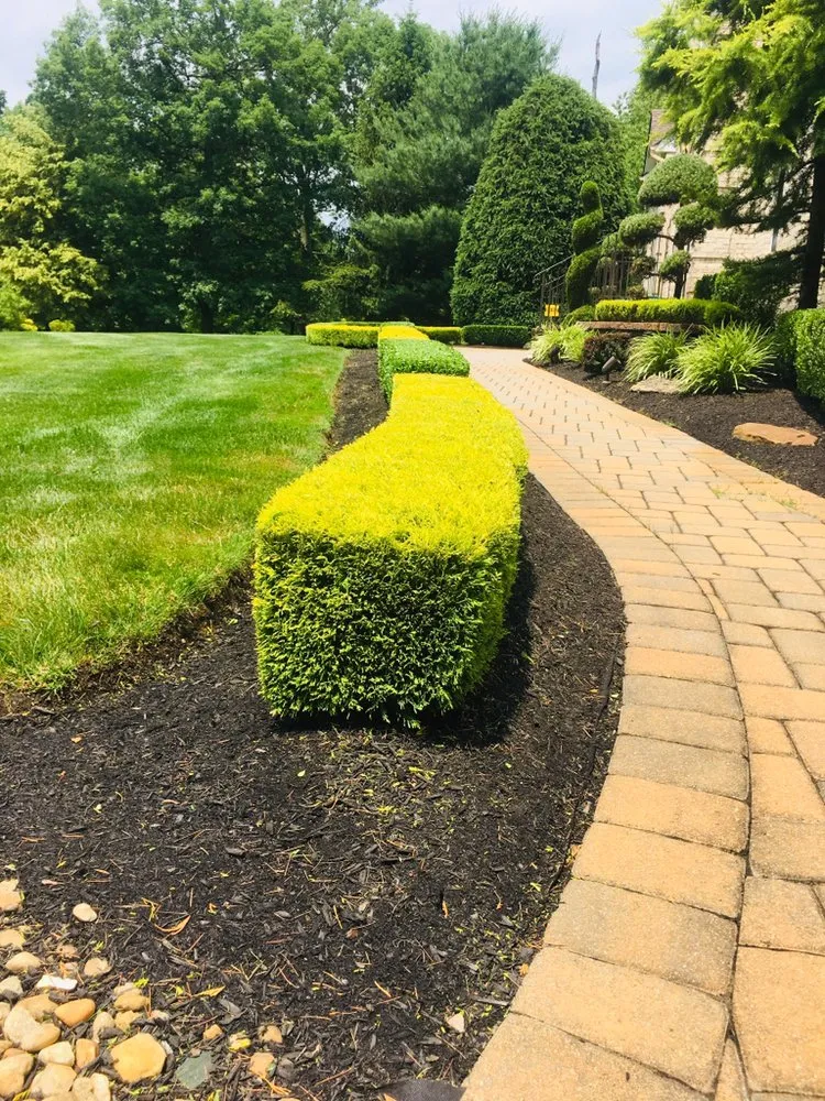 Affordable yard maintenance experts serving Hightstown, NJ - DFV Landscaping