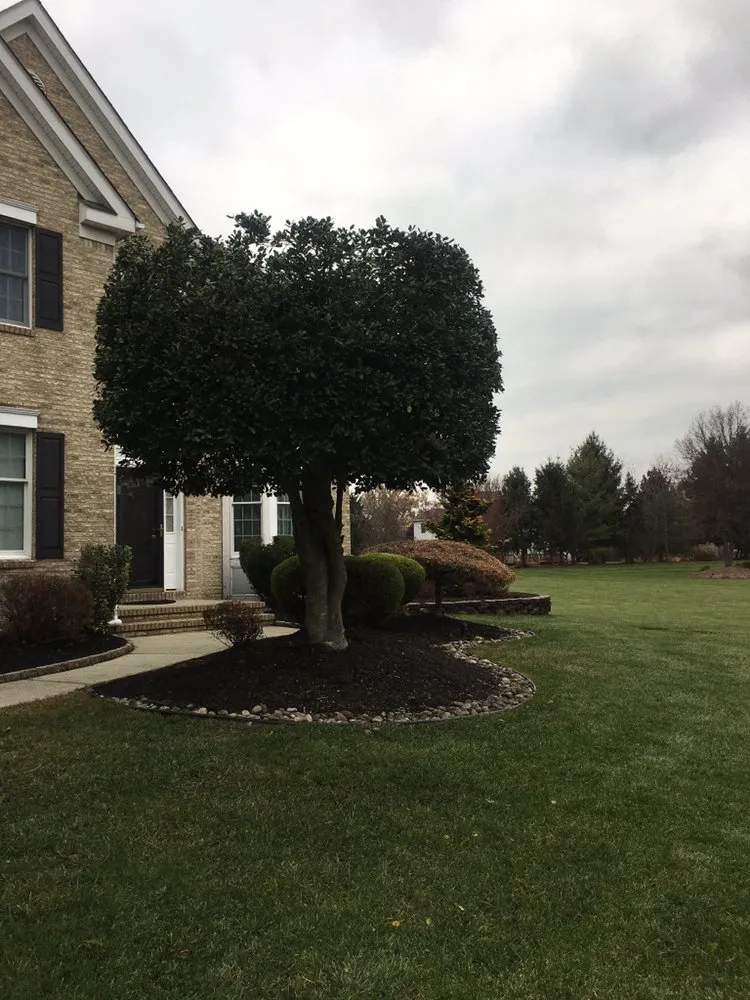 Top-rated yard maintenance in Hightstown, NJ by DFV Landscaping