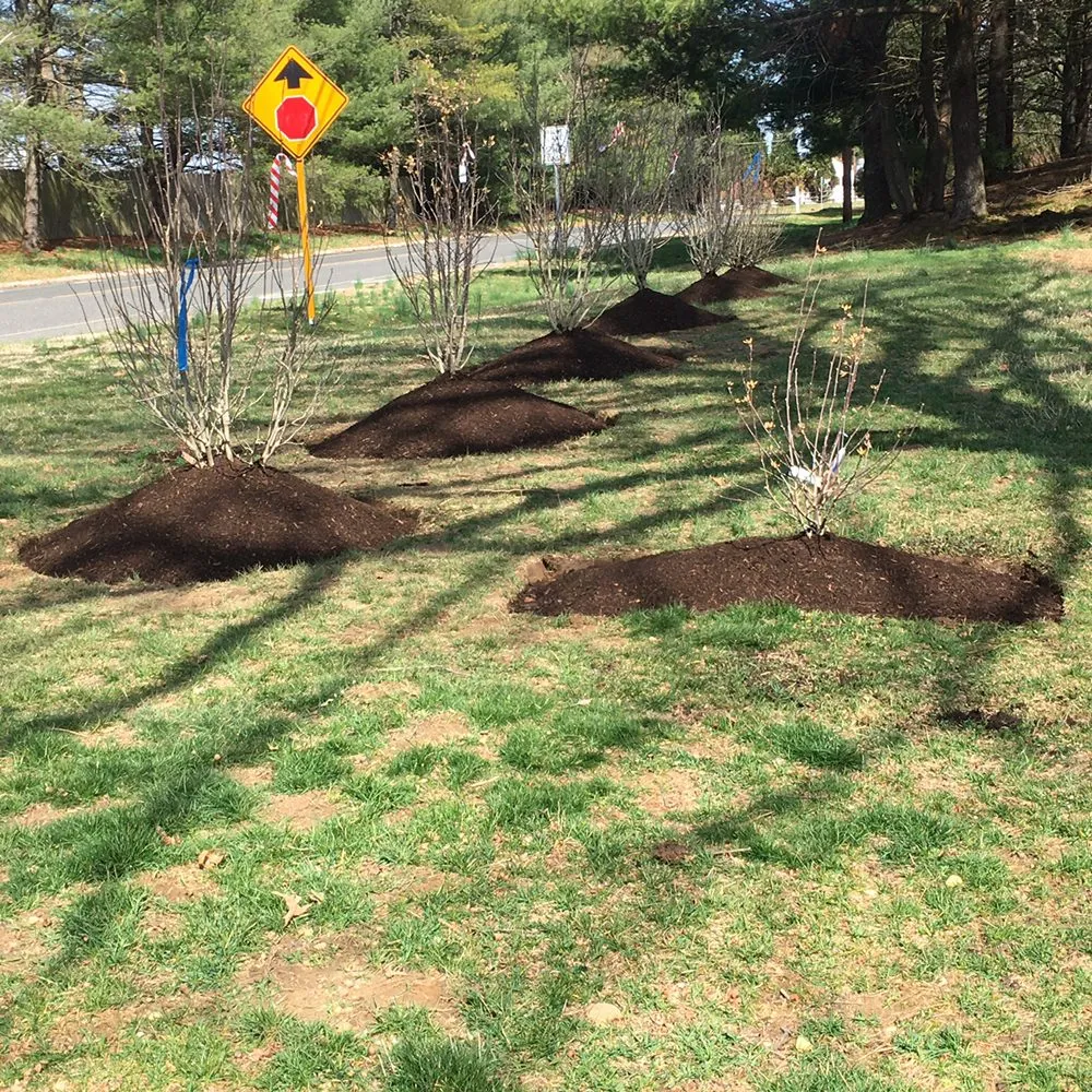 Custom landscaping services for homes in Hightstown, NJ by DFV Landscaping