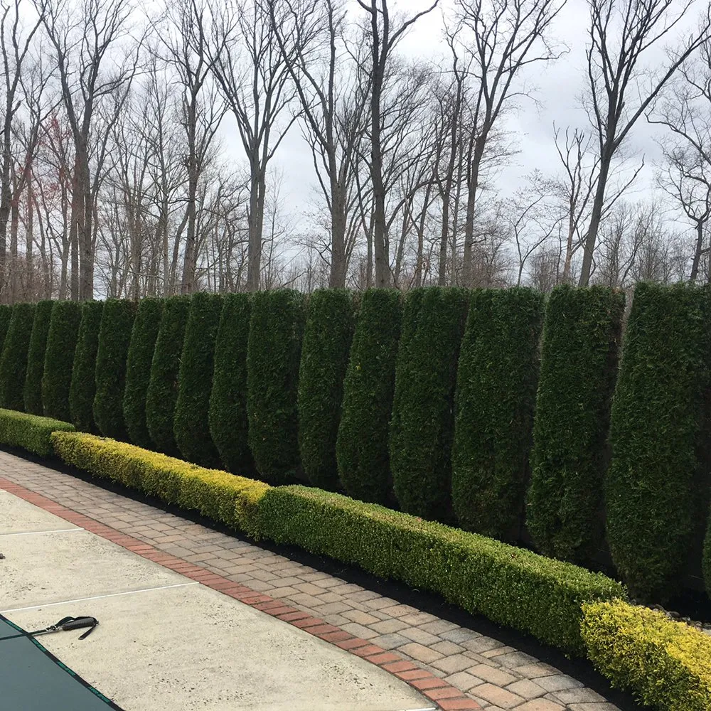 Professional yard maintenance experts serving Hightstown, NJ - DFV Landscaping