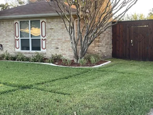 DFW Area Lawn Care Logo