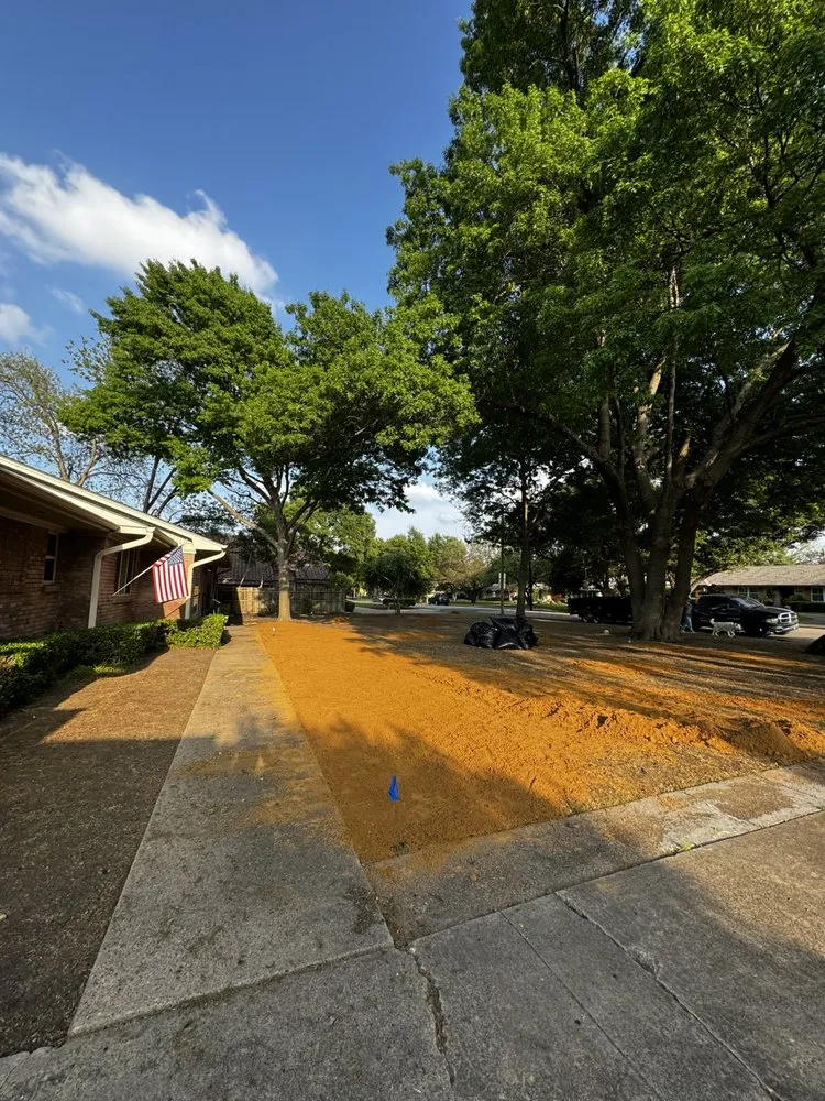 Reliable garden landscaping for year-round maintenance in Dallas, TX by DFW Blum Landscape