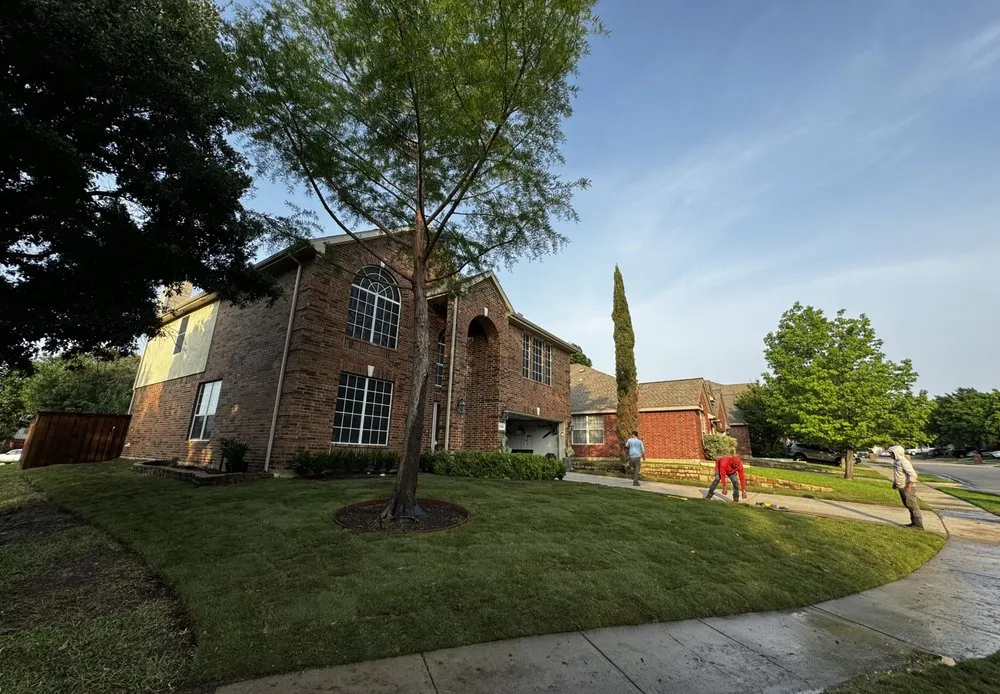 Top-rated outdoor landscaping near you across Dallas, TX - DFW Blum Landscape