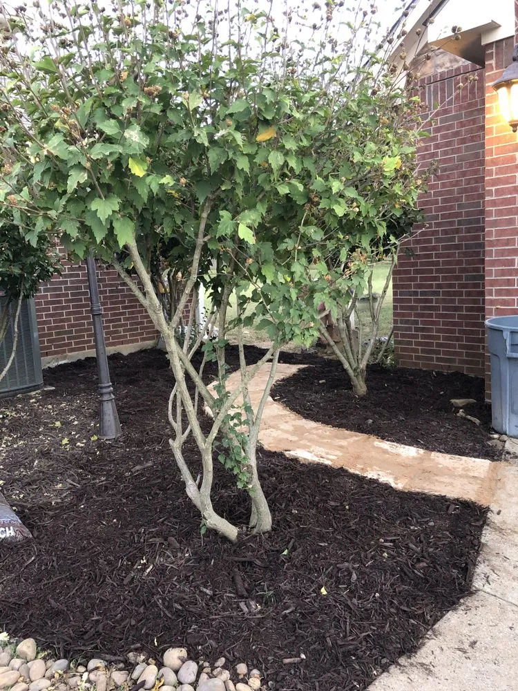 Reliable garden landscaping with custom design in Colleyville, TX by DFW Landscaping and Lawn Care