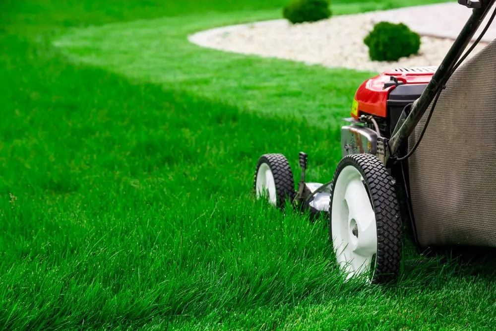 Affordable landscaping services experts serving Crowley, TX - DFW Lawn Company