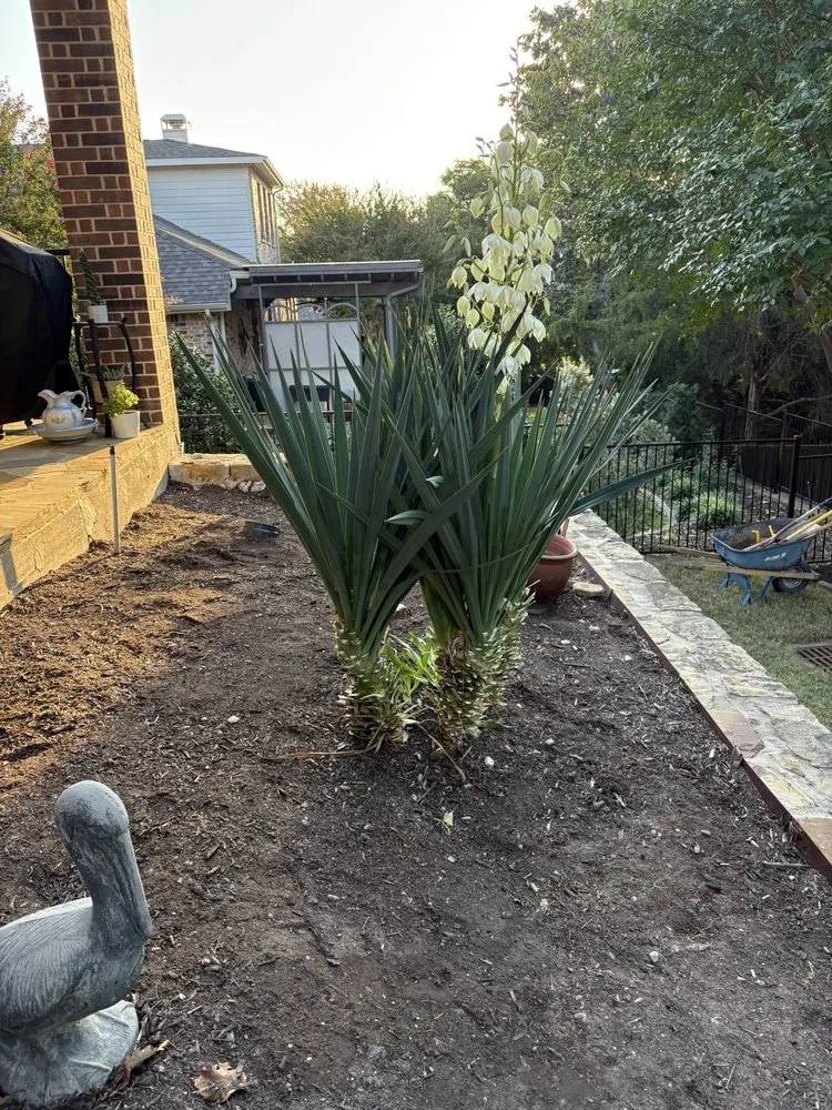 Reliable garden landscaping in McKinney, TX - DFW Lawn Pro