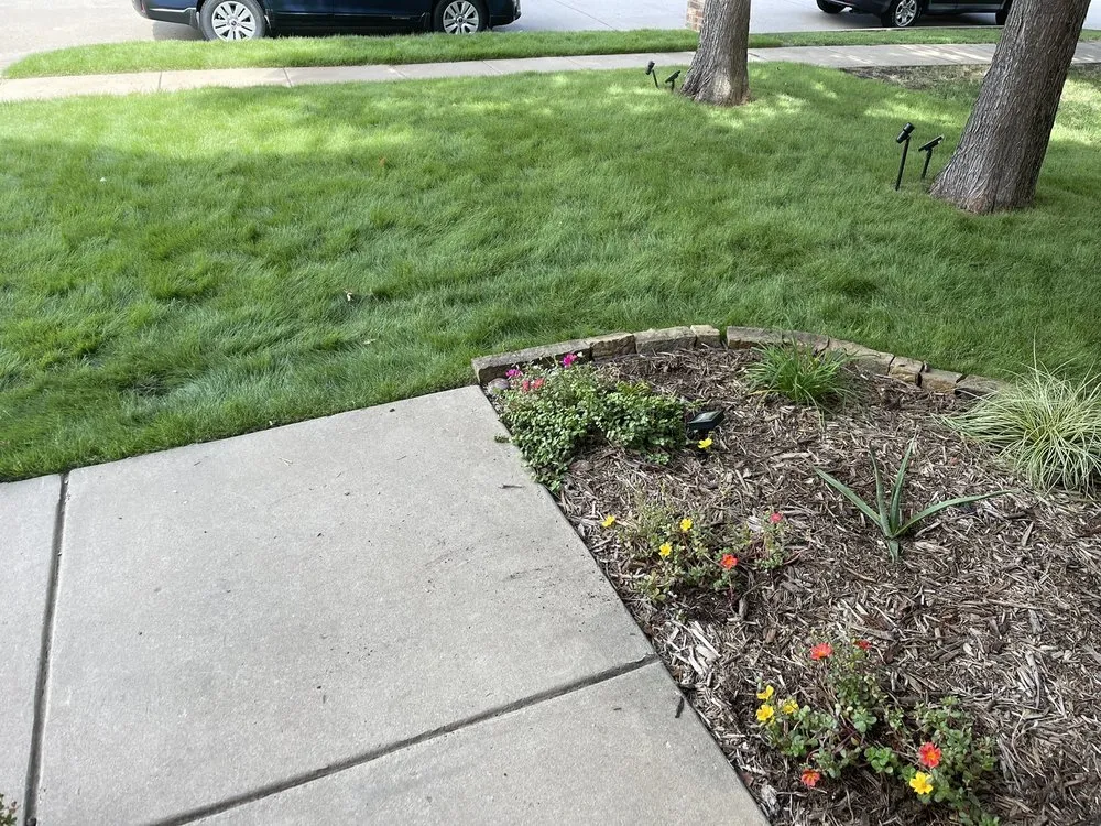 Expert lawn mowing service in McKinney, TX by DFW Lawn Pro