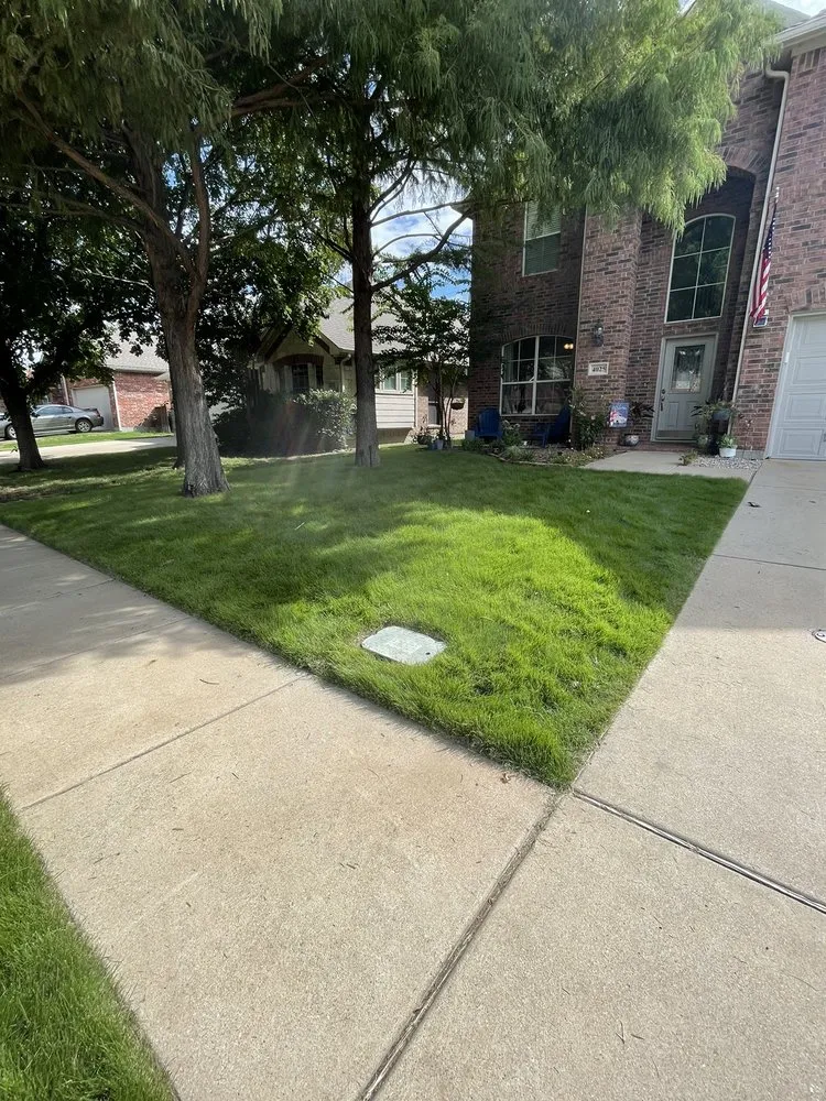 Local yard cleanup service for residential properties in McKinney, TX by DFW Lawn Pro