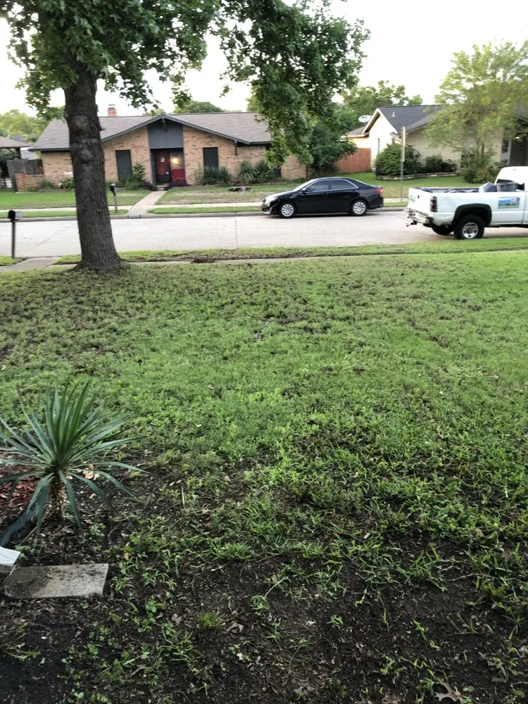 Trusted lawn mowing service for outdoor upgrades in Garland, TX by DFW Multi Services