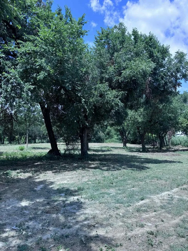 Trusted yard cleanup service near you in Garland, TX by DFW Multi Services