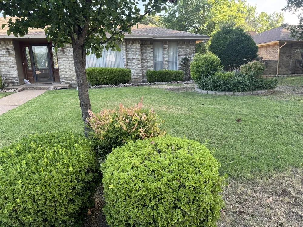 Local lawn mowing service experts serving DeSoto, TX - Dfw Yard 2 Yard