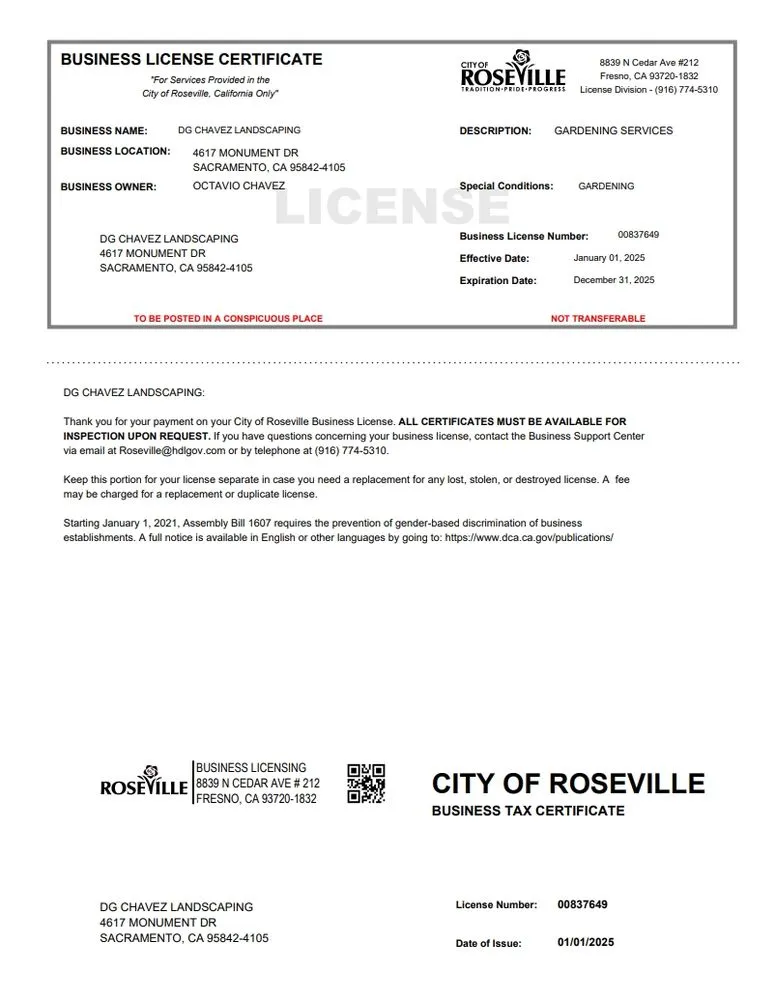 Professional yard cleanup service experts serving Roseville, CA - DG Chavez Landscaping