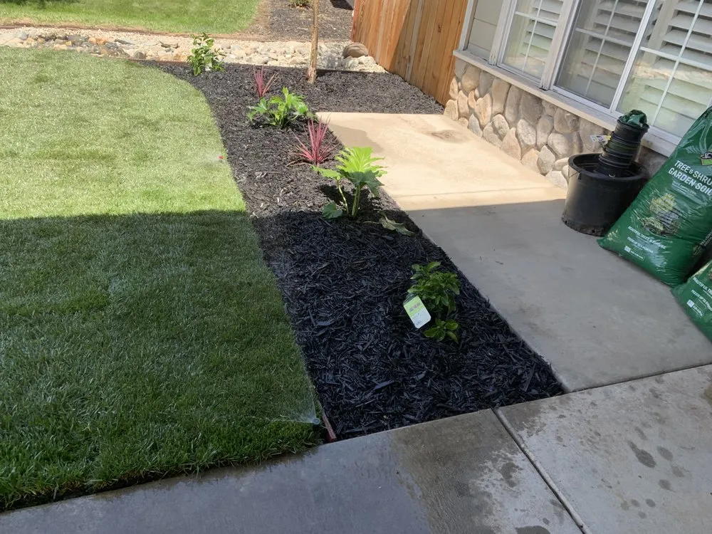 Affordable yard maintenance in Roseville, CA - DG Chavez Landscaping