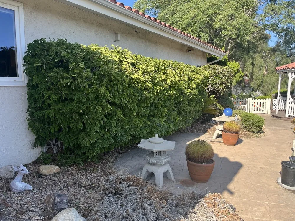 Custom residential landscaping for beautiful yards in Chula Vista, CA by D&G Gardening