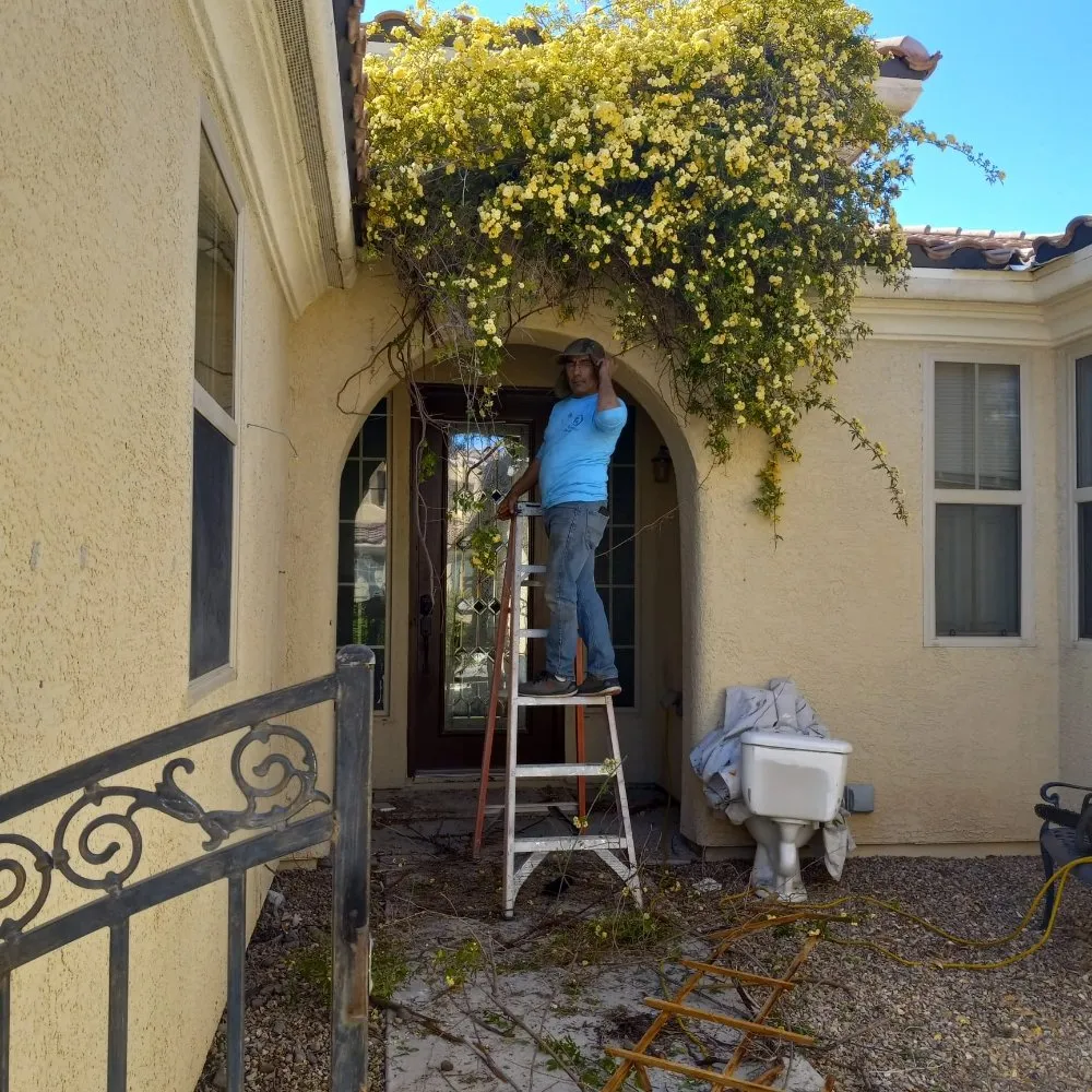 Affordable lawn care service with custom design in North Las Vegas, NV by DG General Landscaping Services