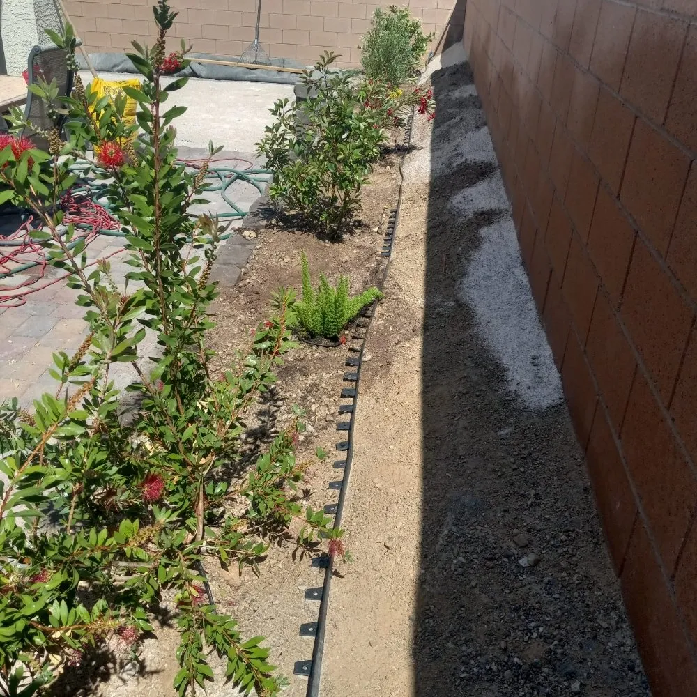 Trusted lawn care service near you across North Las Vegas, NV - DG General Landscaping Services