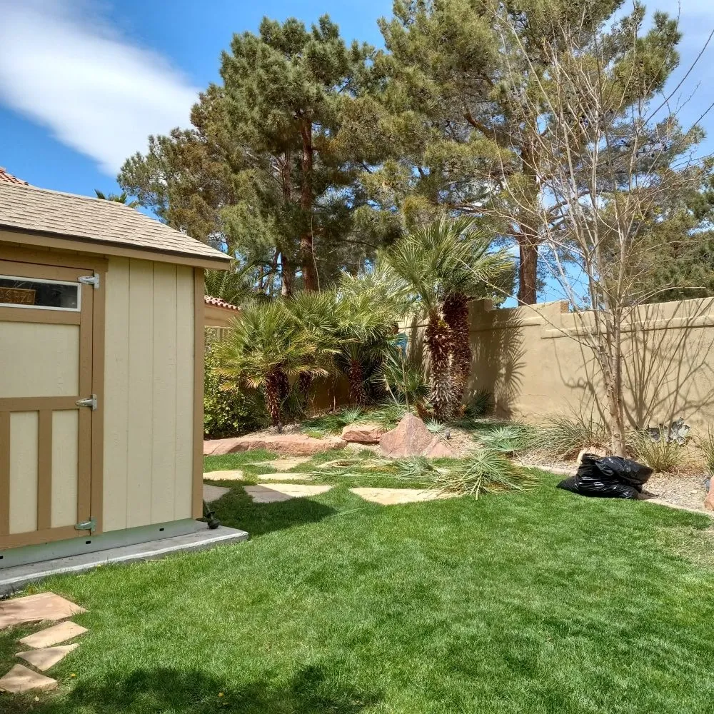 Top-rated outdoor landscaping for outdoor upgrades in North Las Vegas, NV by DG General Landscaping Services