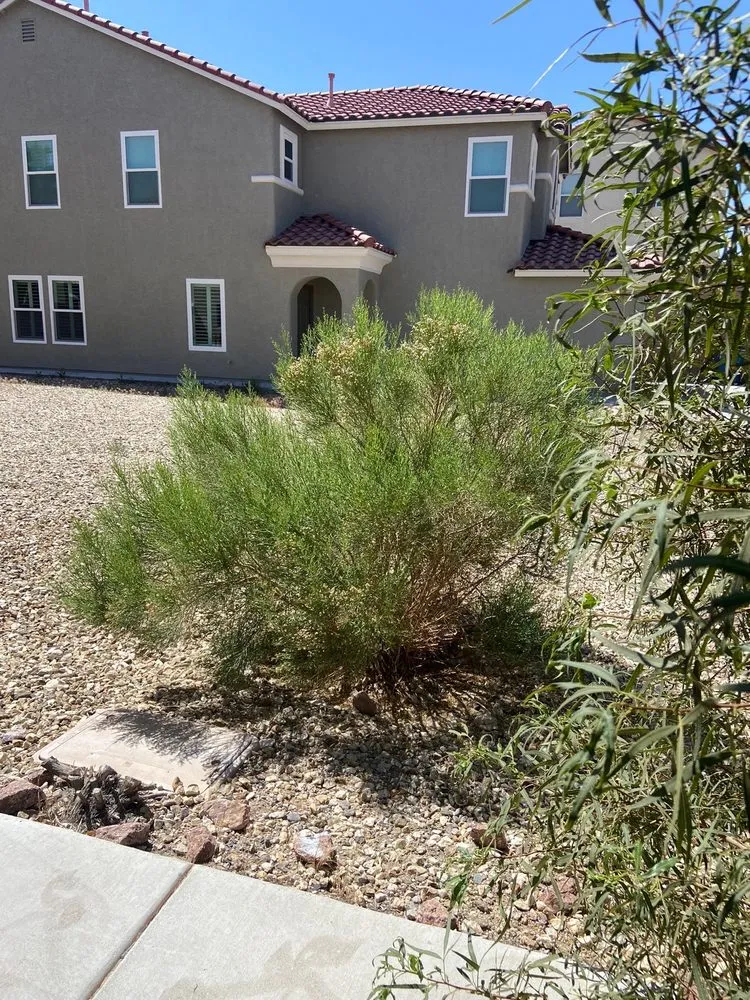 Trusted landscape installation experts serving North Las Vegas, NV - DG General Landscaping Services