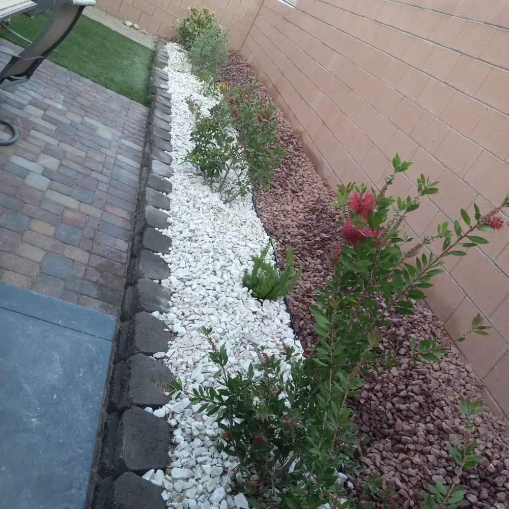 Local lawn mowing service in North Las Vegas, NV - DG General Landscaping Services