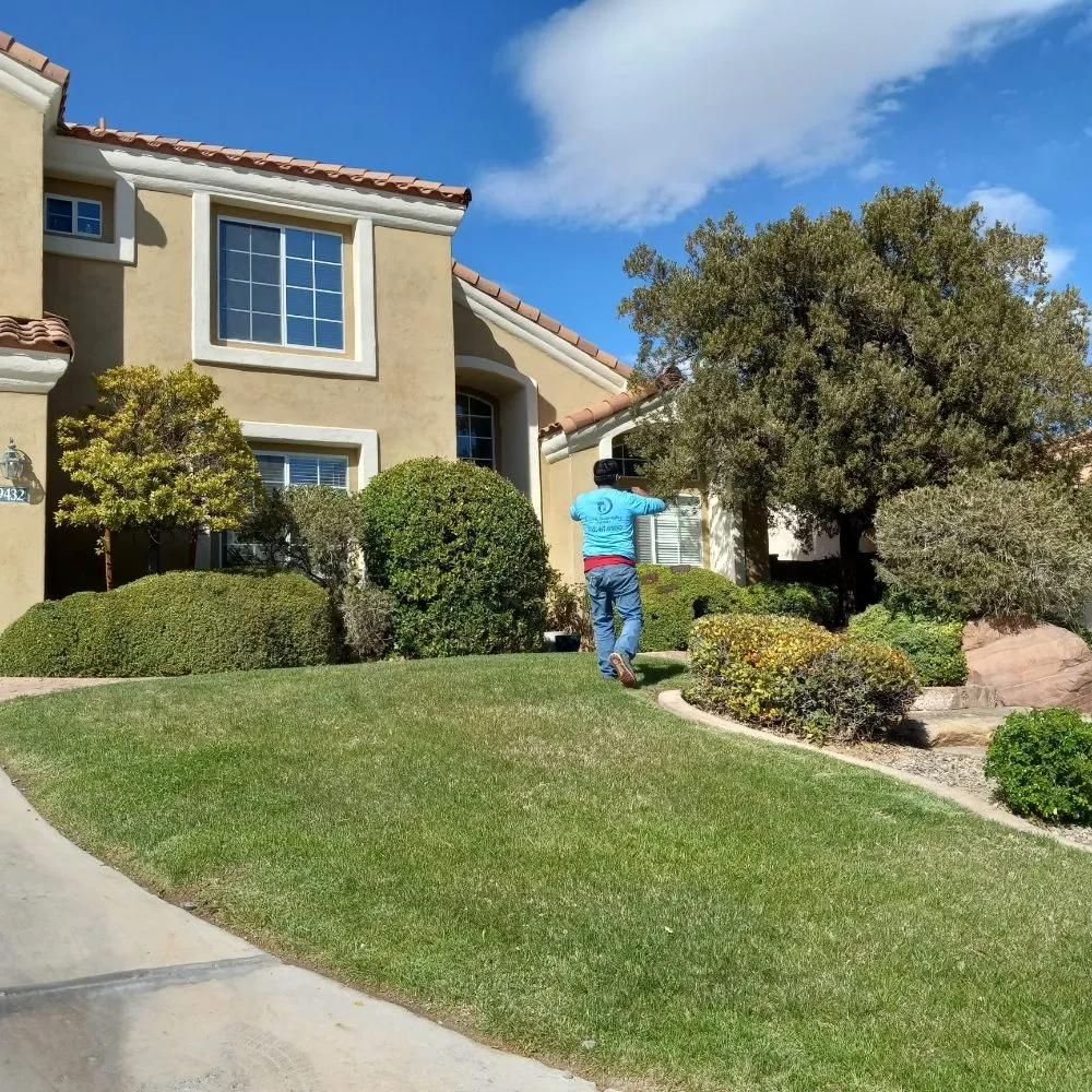 Custom lawn care service in North Las Vegas, NV - DG General Landscaping Services