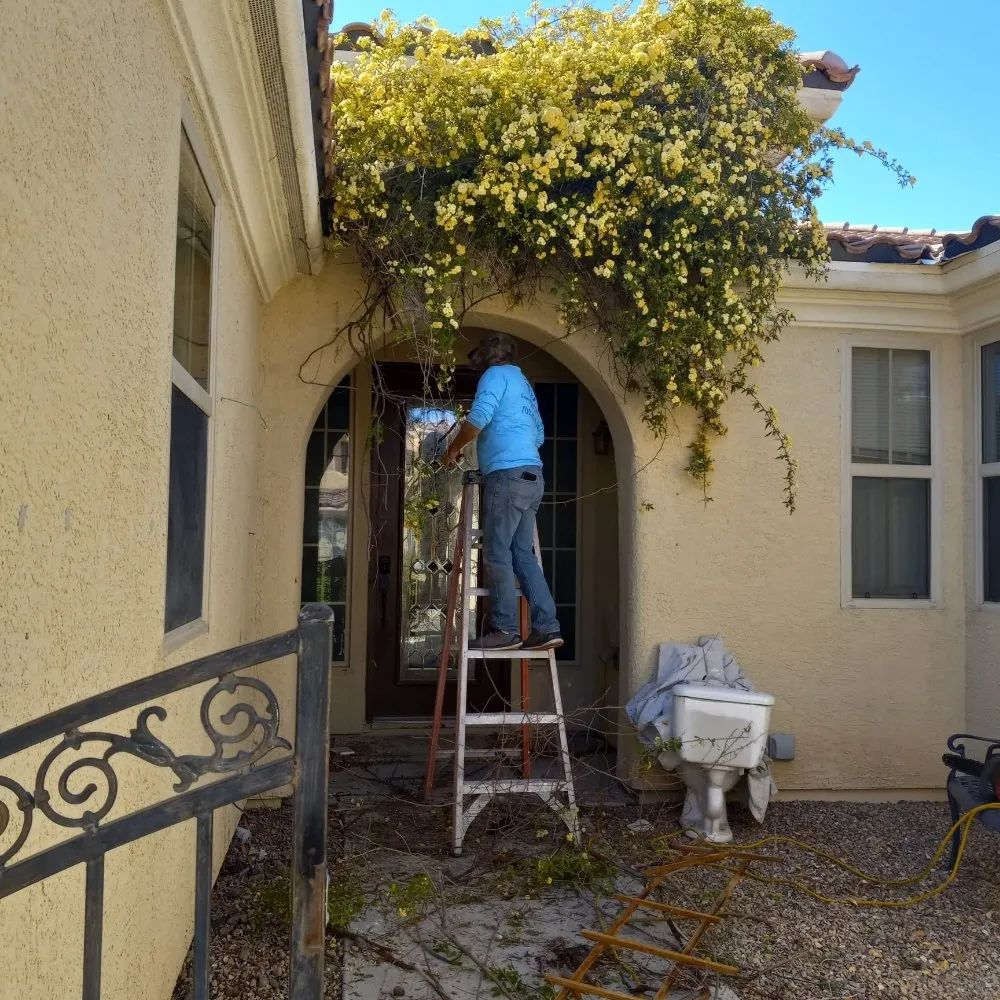 Custom landscape design in North Las Vegas, NV - DG General Landscaping Services