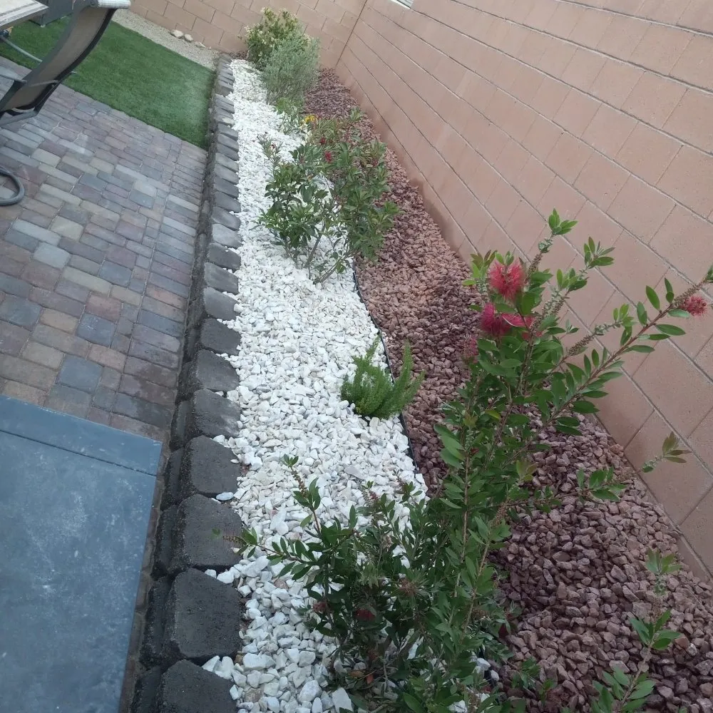 Affordable residential landscaping in North Las Vegas, NV by DG General Landscaping Services