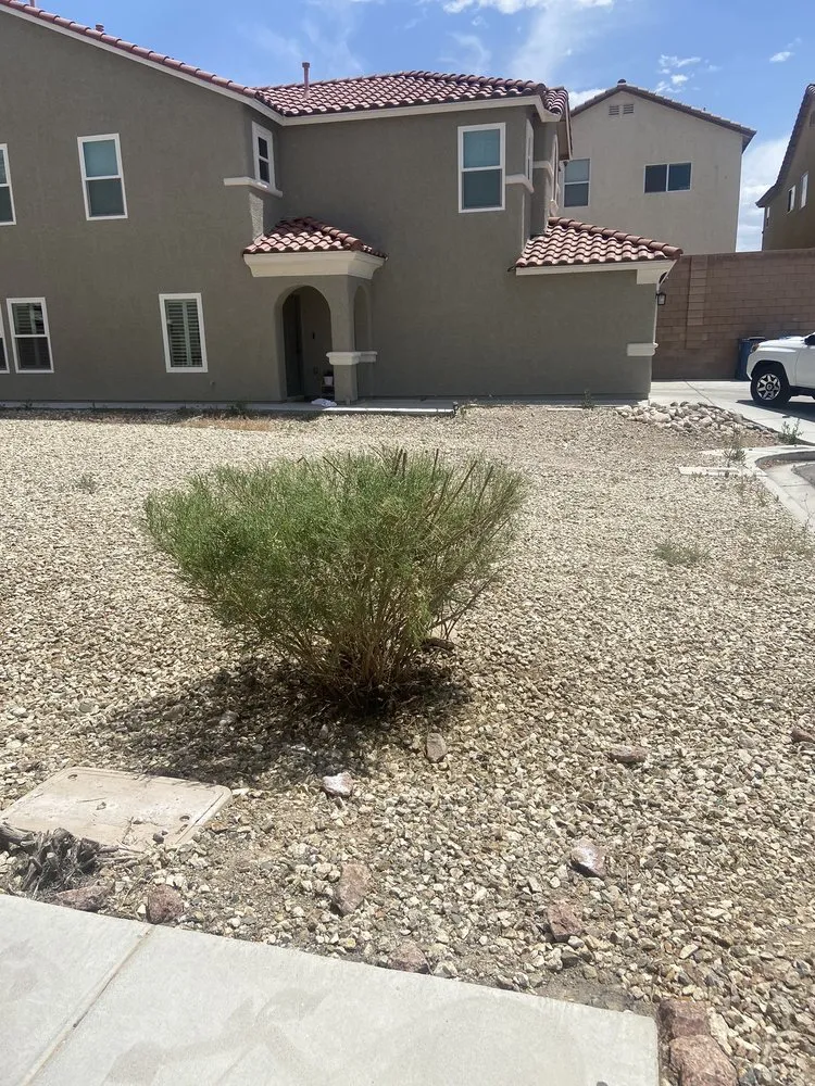 Top-rated landscape installation in North Las Vegas, NV by DG General Landscaping Services