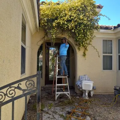 DG General Landscaping Services Logo