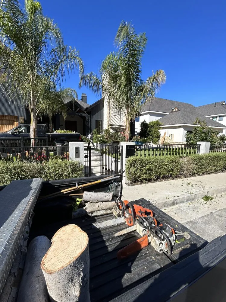 Reliable lawn care service for beautiful yards in San Fernando, CA by DG Landscape Maintenence