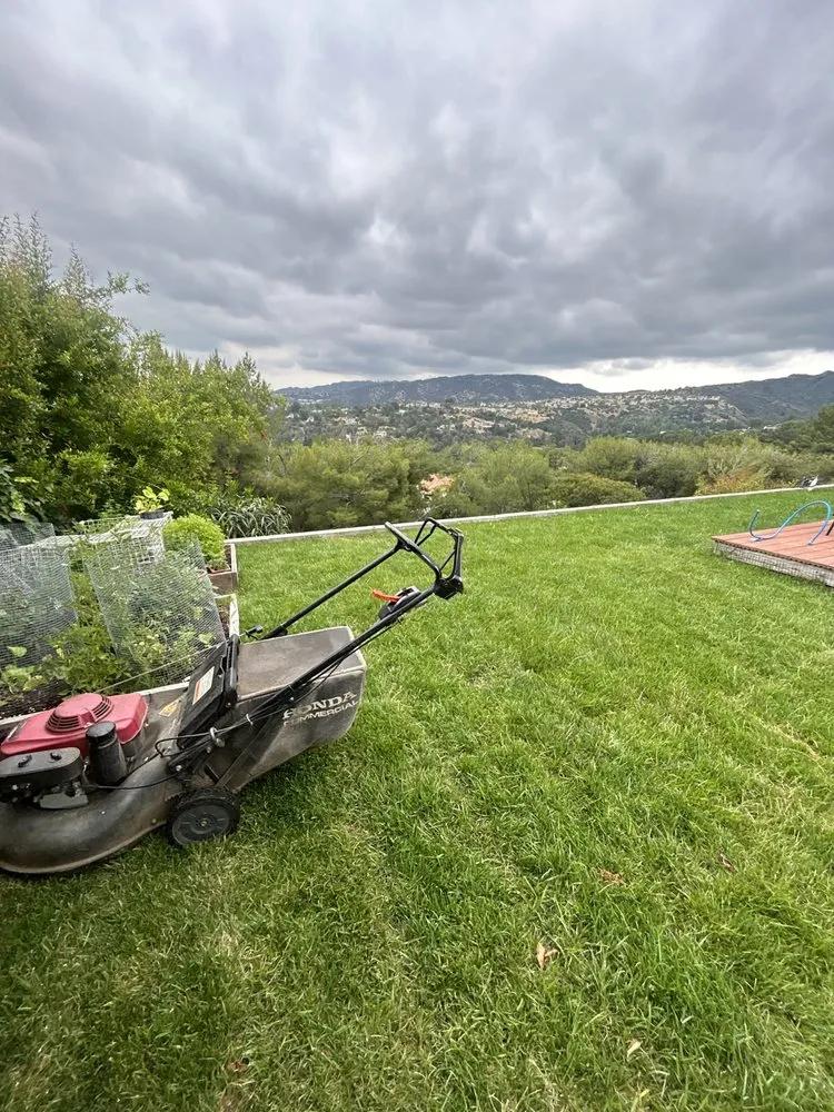 Professional landscape design in San Fernando, CA by DG Landscape Maintenence