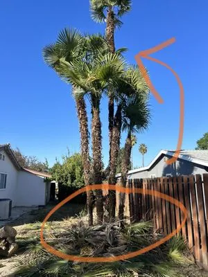 DG Landscape Maintenence