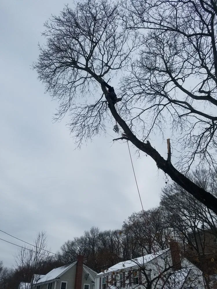 Custom lawn care service in Waltham, MA by D&G Landscape Masonry